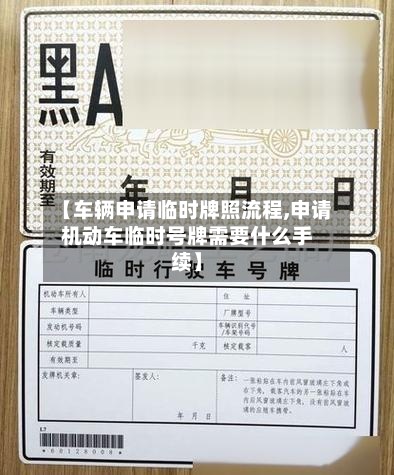 【车辆申请临时牌照流程,申请机动车临时号牌需要什么手续】-第3张图片