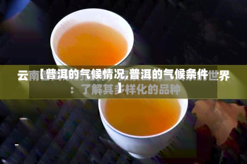 【普洱的气候情况,普洱的气候条件】