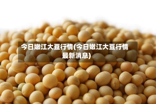今日嫩江大豆行情(今日嫩江大豆行情最新消息)-第2张图片