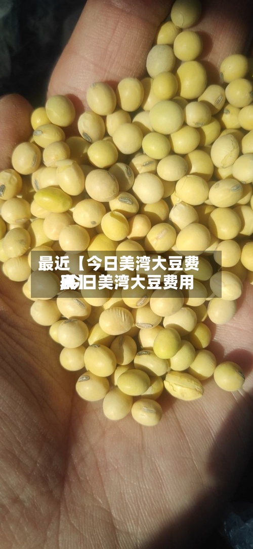 最近【今日美湾大豆费用
,今日美湾大豆费用
表】