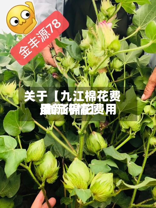 关于【九江棉花费用,九江棉花费用最新行情】
