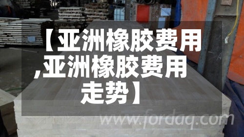 【亚洲橡胶费用,亚洲橡胶费用走势】-第3张图片