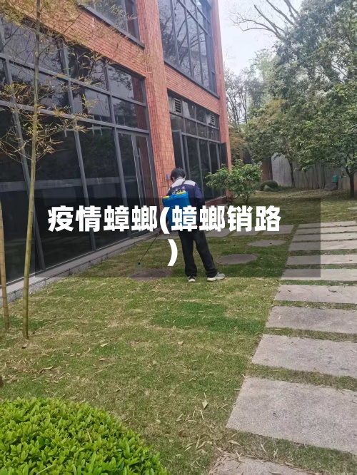 疫情蟑螂(蟑螂销路)-第3张图片