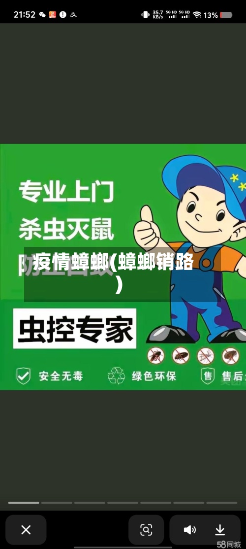 疫情蟑螂(蟑螂销路)-第2张图片