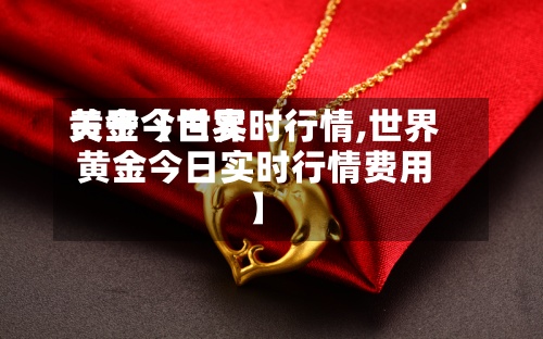 关于【世界黄金今日实时行情,世界黄金今日实时行情费用】-第3张图片