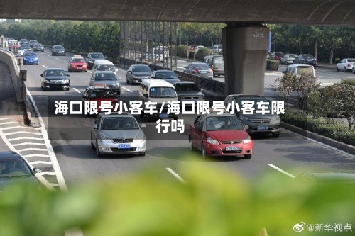 海口限号小客车/海口限号小客车限行吗-第3张图片