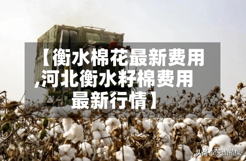 【衡水棉花最新费用
,河北衡水籽棉费用
最新行情】-第2张图片