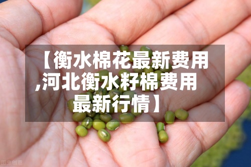 【衡水棉花最新费用
,河北衡水籽棉费用
最新行情】