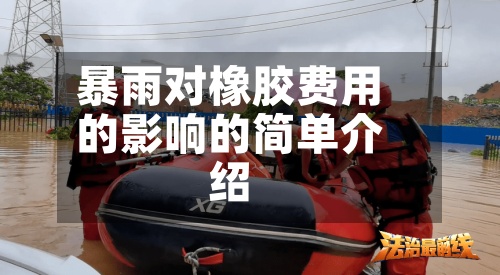 暴雨对橡胶费用的影响的简单介绍-第3张图片