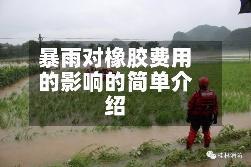 暴雨对橡胶费用的影响的简单介绍-第2张图片