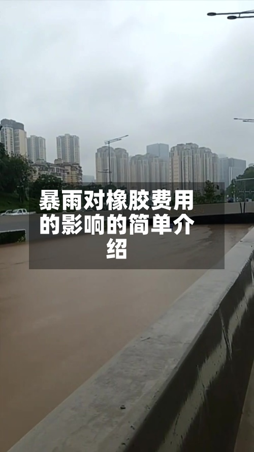 暴雨对橡胶费用
的影响的简单介绍