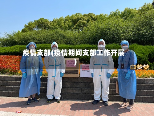 疫情支部(疫情期间支部工作开展)