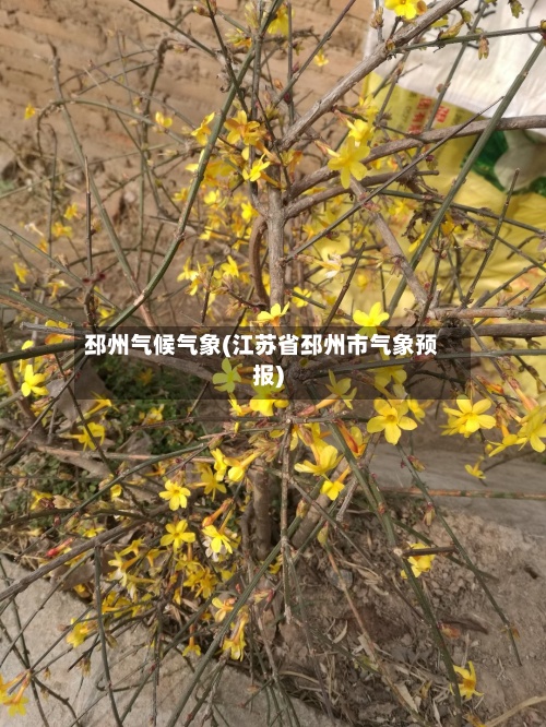 邳州气候气象(江苏省邳州市气象预报)-第2张图片