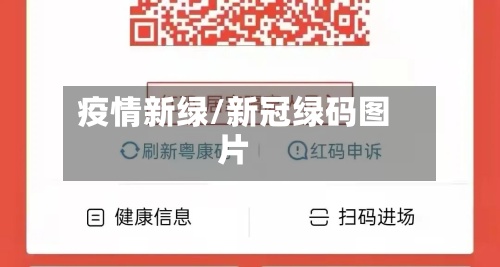 疫情新绿/新冠绿码图片