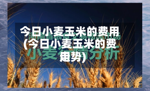 今日小麦玉米的费用
(今日小麦玉米的费用
走势)