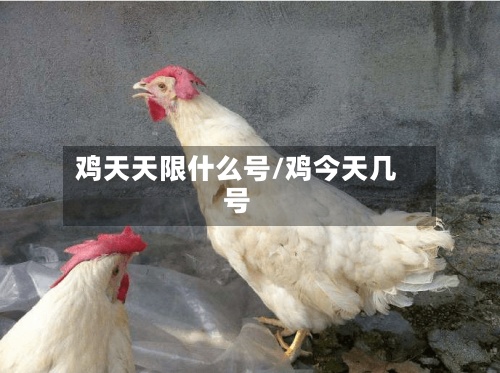鸡天天限什么号/鸡今天几号-第2张图片