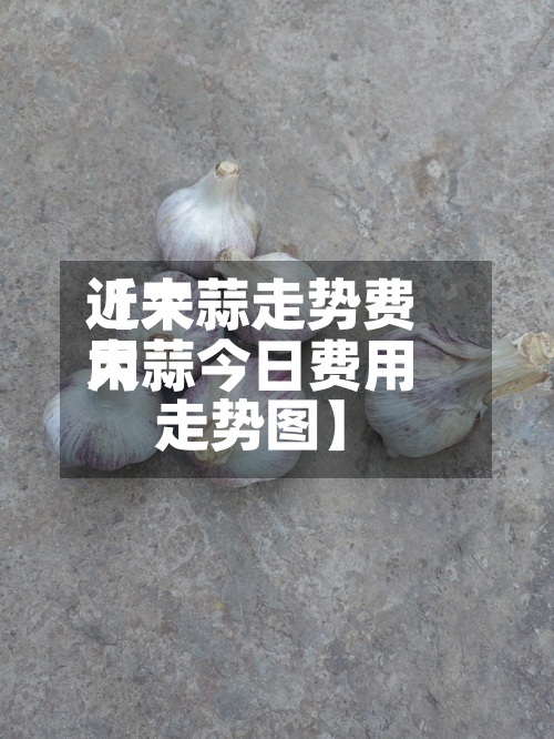 近来
【大蒜走势费用
大蒜今日费用
走势图】