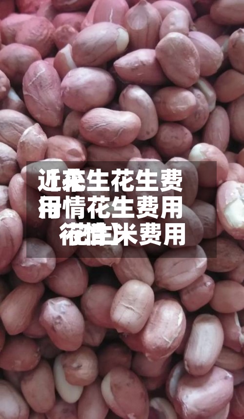 近来
【花生花生费用
行情花生费用
花生米费用
行情】