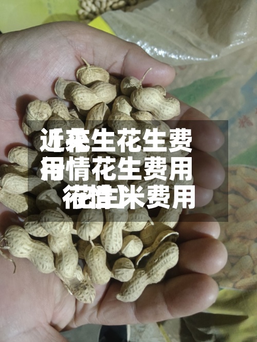 近来【花生花生费用行情花生费用 花生米费用行情】-第2张图片