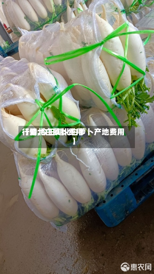 【湖北白萝卜费用
行情,今日湖北白萝卜产地费用
】