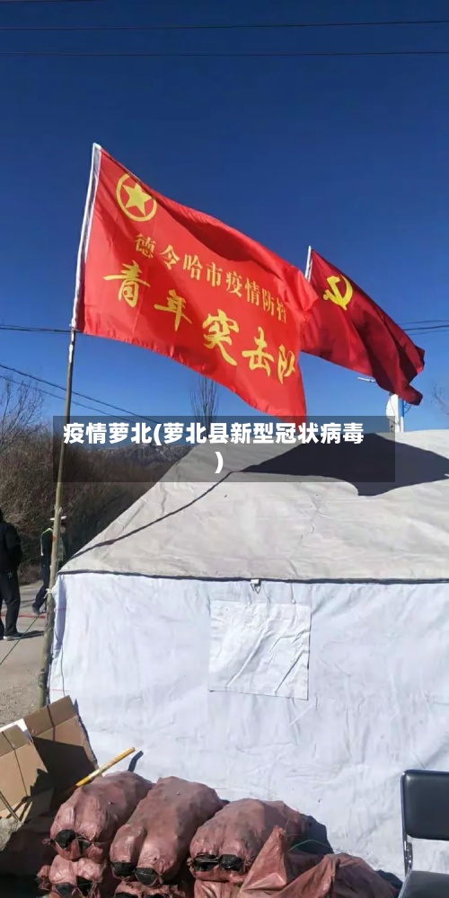 疫情萝北(萝北县新型冠状病毒)