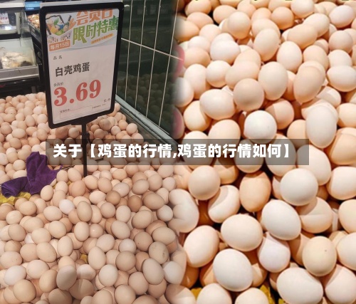 关于【鸡蛋的行情,鸡蛋的行情如何】