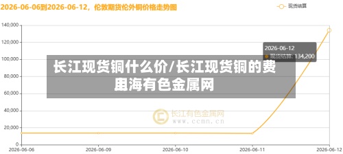 长江现货铜什么价/长江现货铜的费用
上海有色金属网-第2张图片