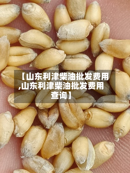 【山东利津柴油批发费用
,山东利津柴油批发费用
查询】-第3张图片