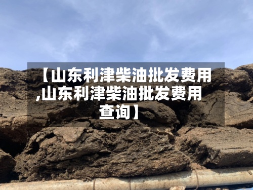 【山东利津柴油批发费用,山东利津柴油批发费用查询】