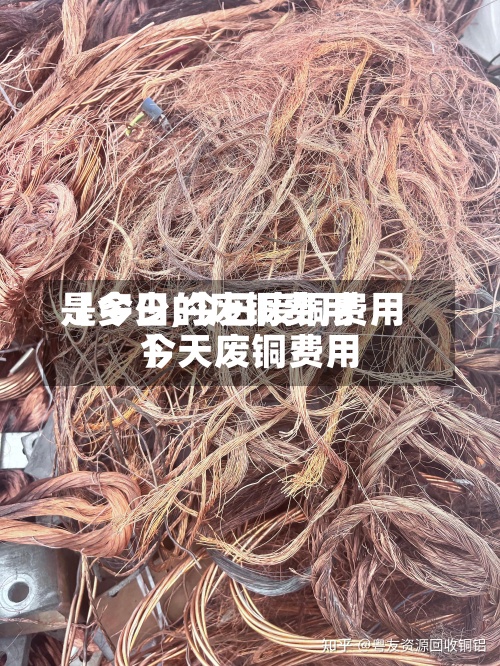 【今日的废铜费用
是多少,今日废铜费用
今天废铜费用
】