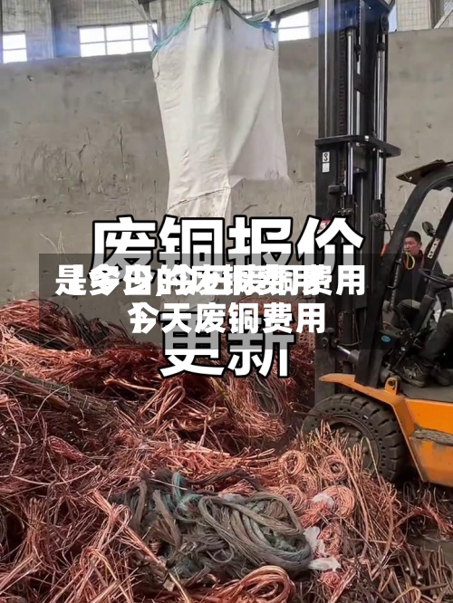 【今日的废铜费用
是多少,今日废铜费用
今天废铜费用
】-第2张图片