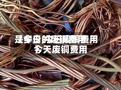 【今日的废铜费用
是多少,今日废铜费用
今天废铜费用
】-第3张图片