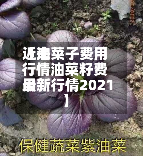 近来
【油菜子费用
行情油菜籽费用
最新行情2021】-第2张图片
