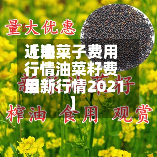 近来【油菜子费用行情油菜籽费用最新行情2021】