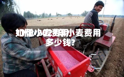 11份小麦费用如何/2021年小麦费用多少钱?