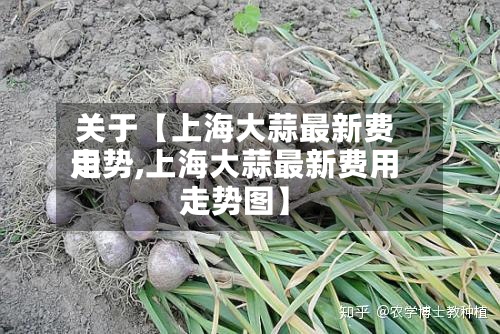 关于【上海大蒜最新费用
走势,上海大蒜最新费用
走势图】-第2张图片