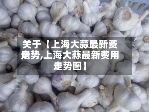 关于【上海大蒜最新费用走势,上海大蒜最新费用走势图】
