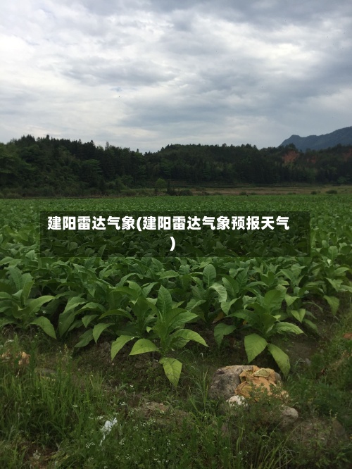 建阳雷达气象(建阳雷达气象预报天气)-第3张图片