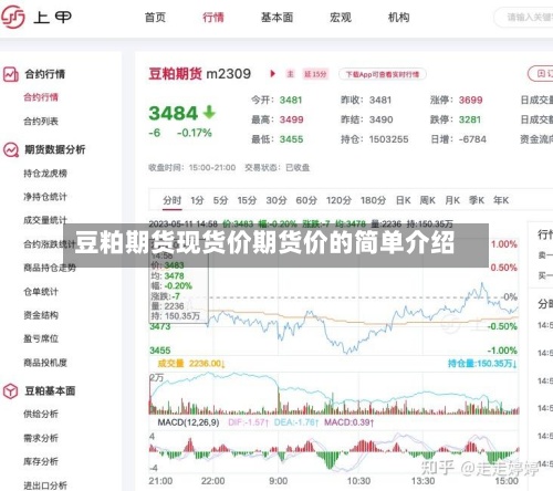 豆粕期货现货价期货价的简单介绍-第2张图片