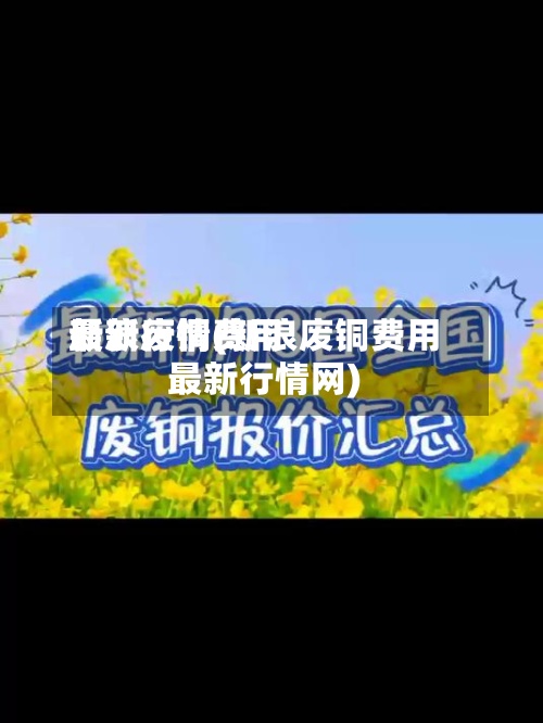 新浪废铜费用
最新行情(新浪废铜费用
最新行情网)-第2张图片