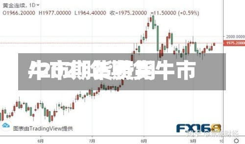 牛市期货费用/2021年期货牛市