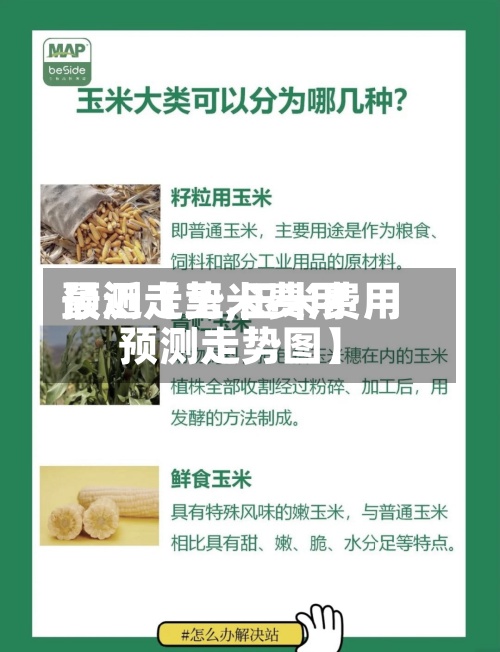 最近【玉米费用
预测走势,玉米费用
预测走势图】