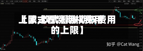 【欧式看涨期权费用
上限,欧式看涨期权费用
的上限】