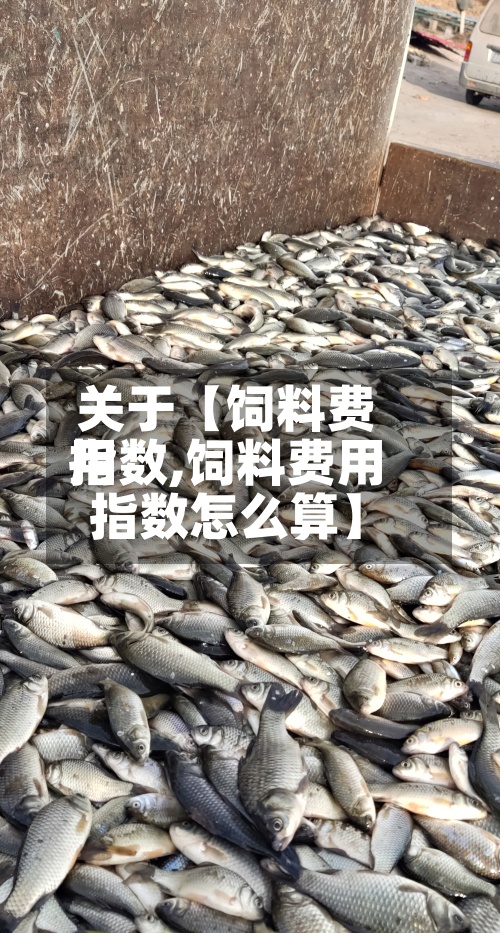 关于【饲料费用
指数,饲料费用
指数怎么算】-第3张图片