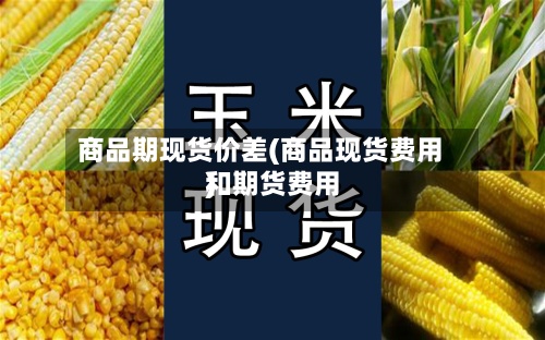 商品期现货价差(商品现货费用和期货费用)-第2张图片