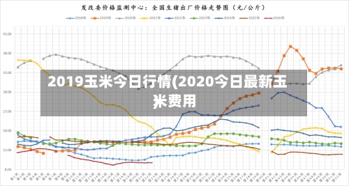 2019玉米今日行情(2020今日最新玉米费用)-第2张图片