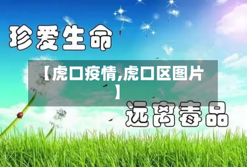 【虎口疫情,虎口区图片】-第3张图片
