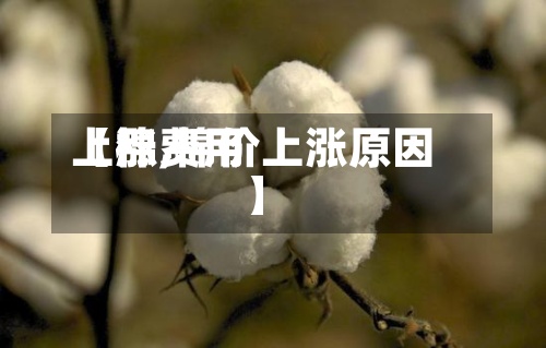 【棉费用
上涨,棉价上涨原因】
