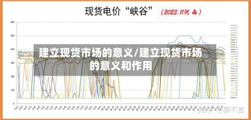 建立现货市场的意义/建立现货市场的意义和作用