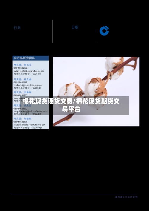 棉花现货期货交易/棉花现货期货交易平台-第3张图片